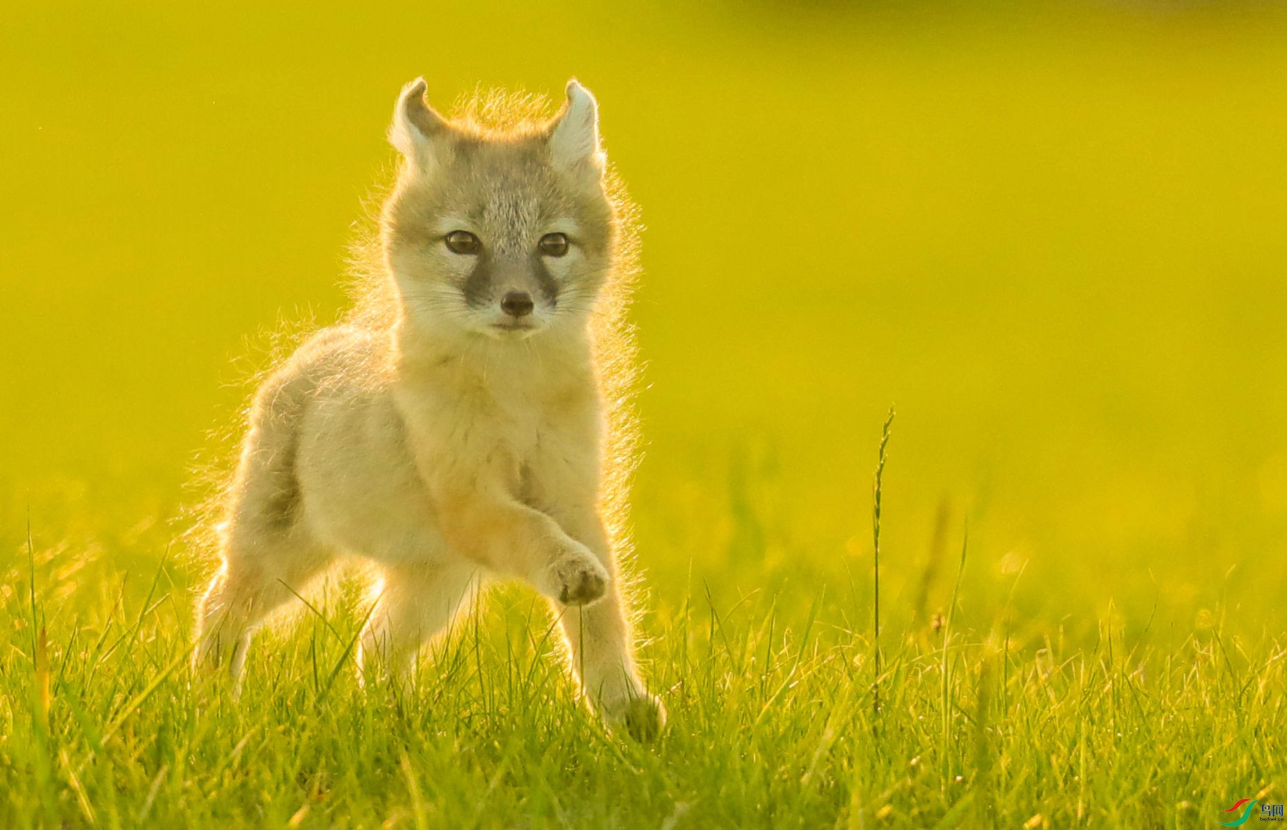 Сɳ��2 (1 - 1).jpg