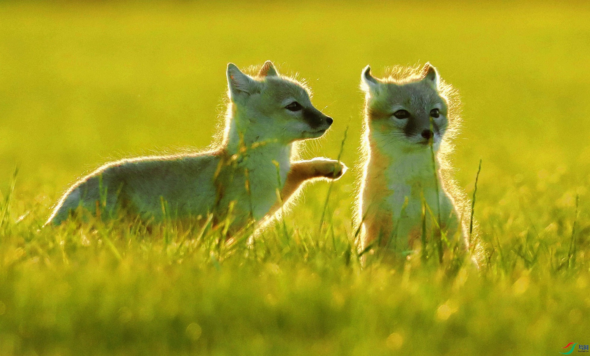 С����4 (1 - 1).jpg