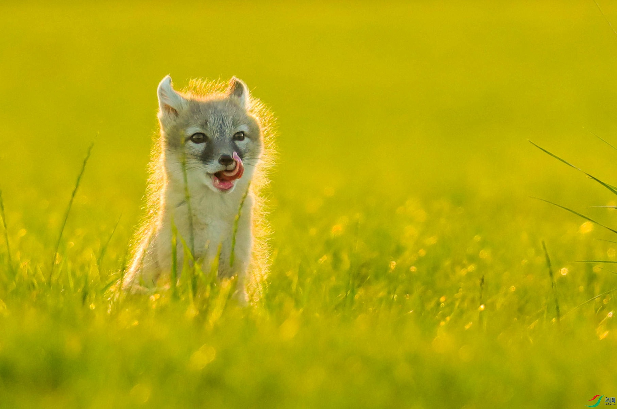 Сɳ�� (1 - 1).jpg