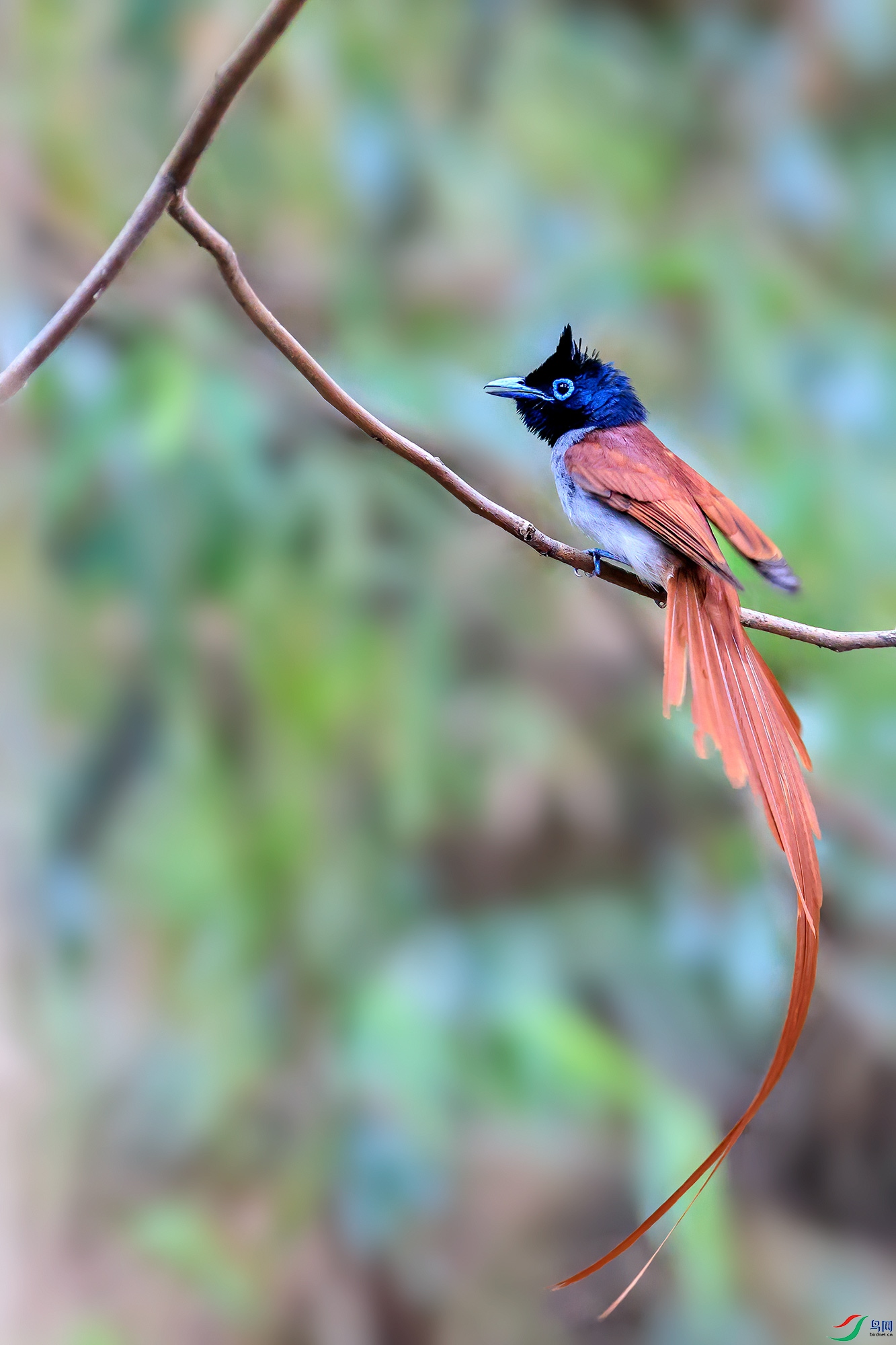 _86A1892����1.jpg