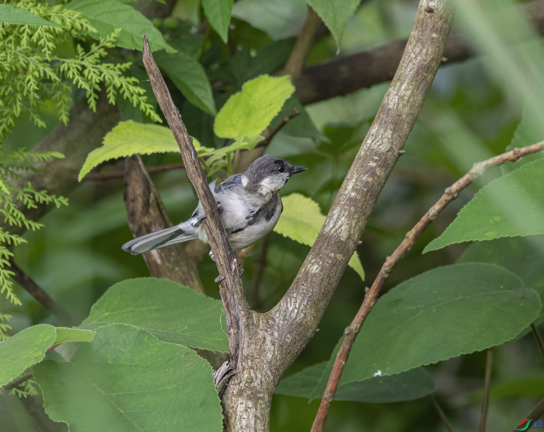 DSC_8777.jpg