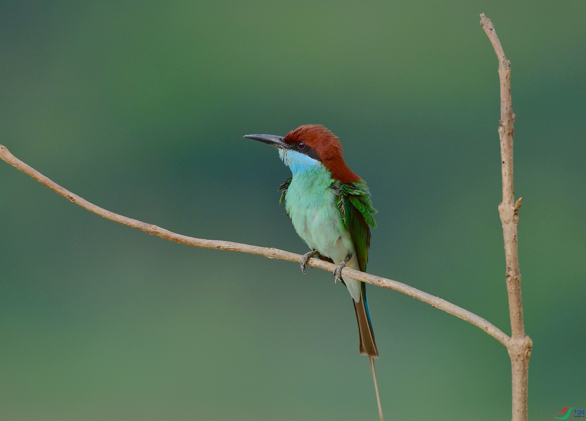 D8I_6360.jpg