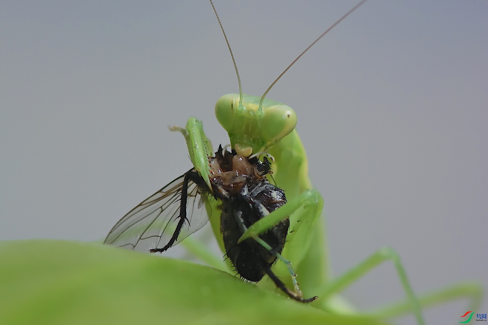 DSC_5021_00002.jpg
