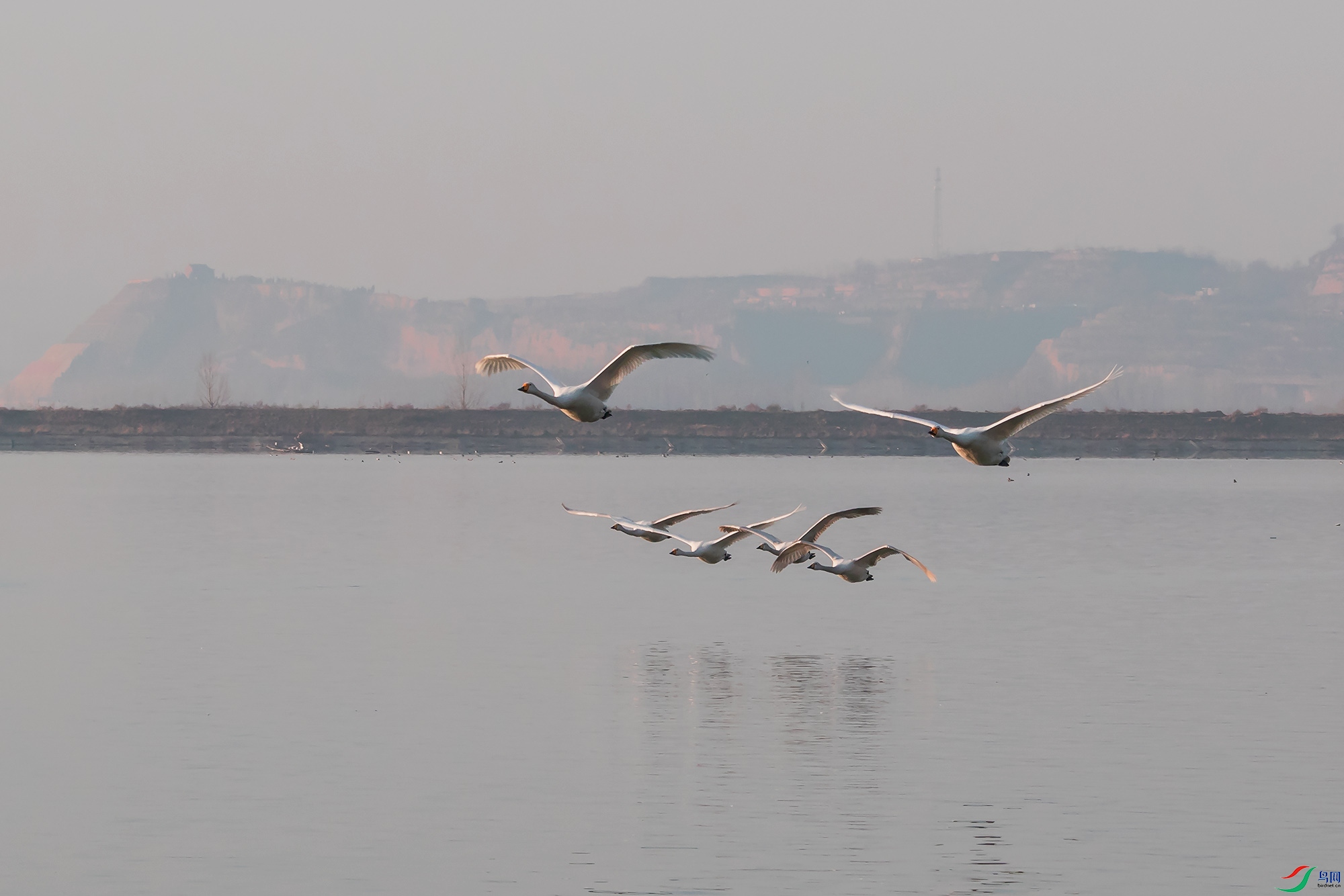 _00A0034.psd-1.jpg