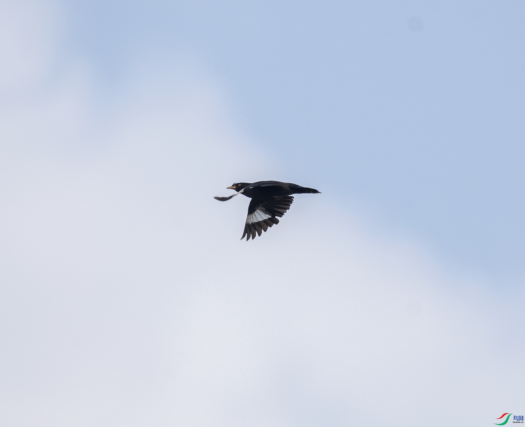 DSC_8887.jpg