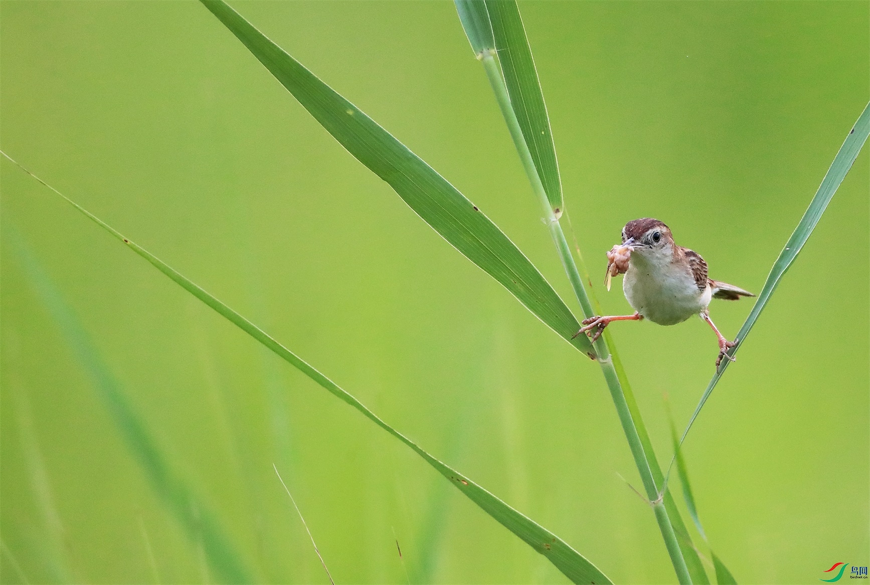 11 - ����.jpg