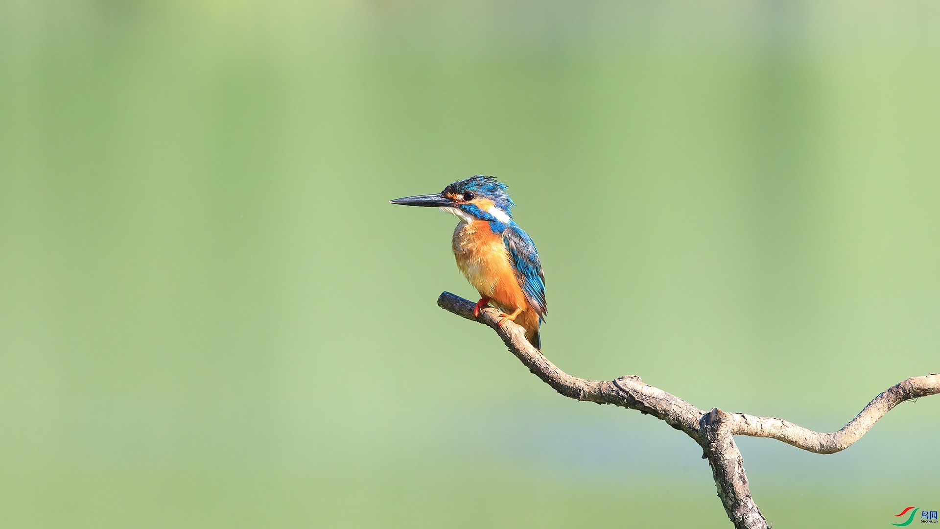 1DX_2666 ���� 2.jpg