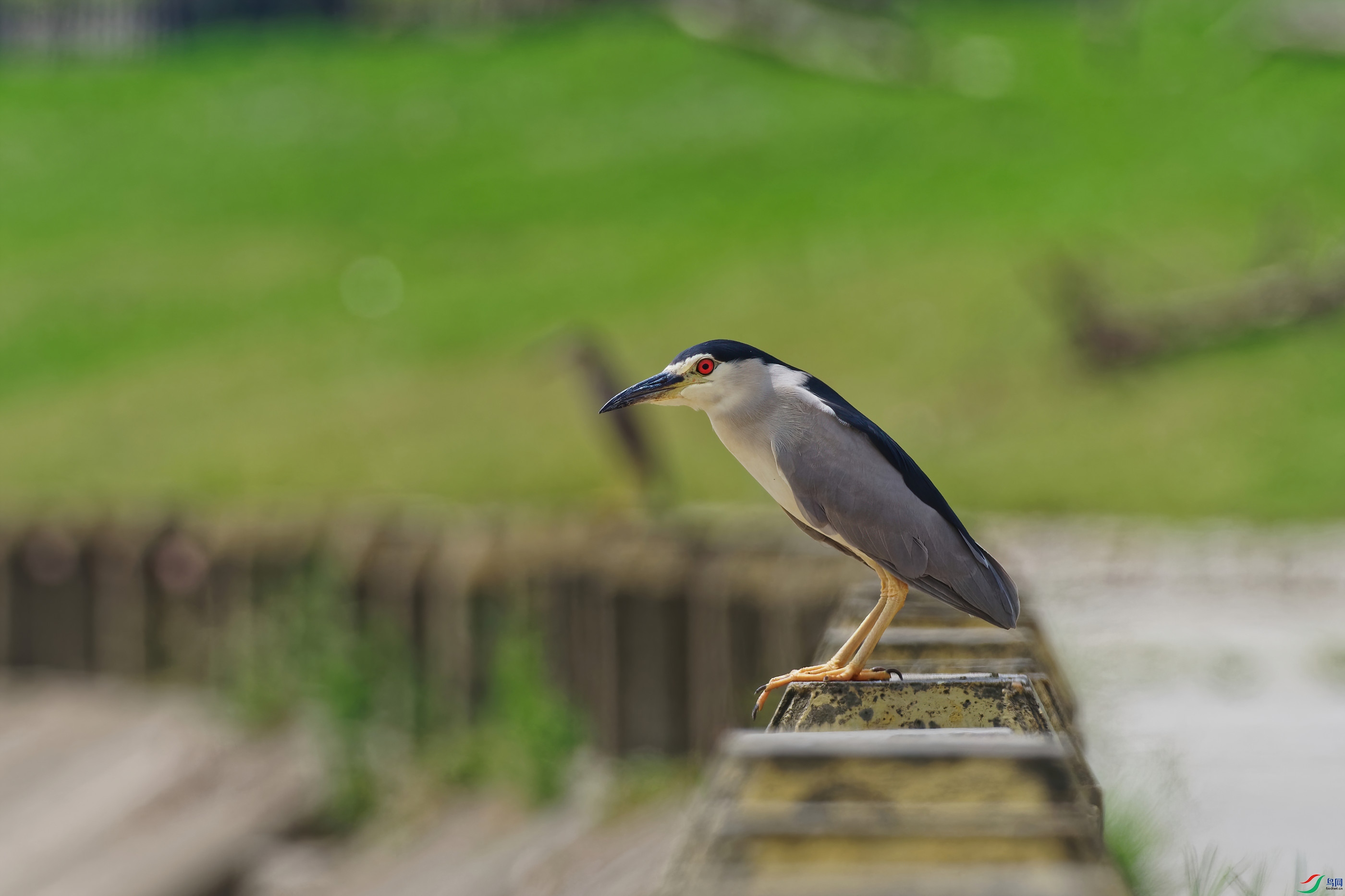P7250719_DxO-d2.jpg