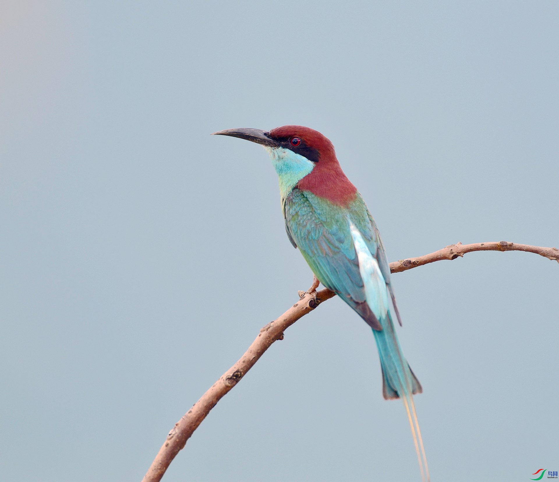 D8I_6415.jpg