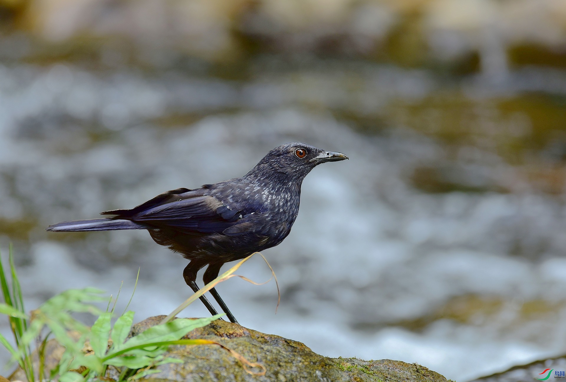 D8I_6583.jpg