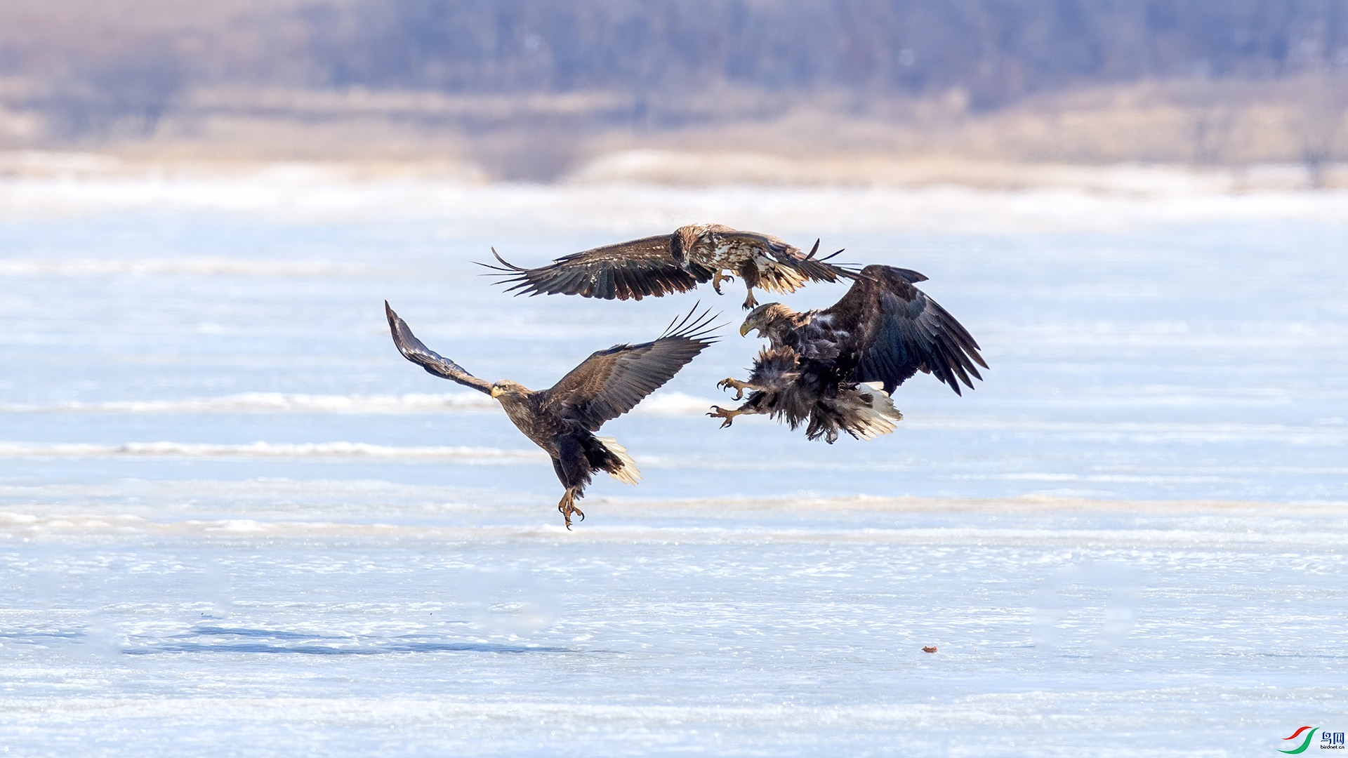 1DX_0736 ����.jpg