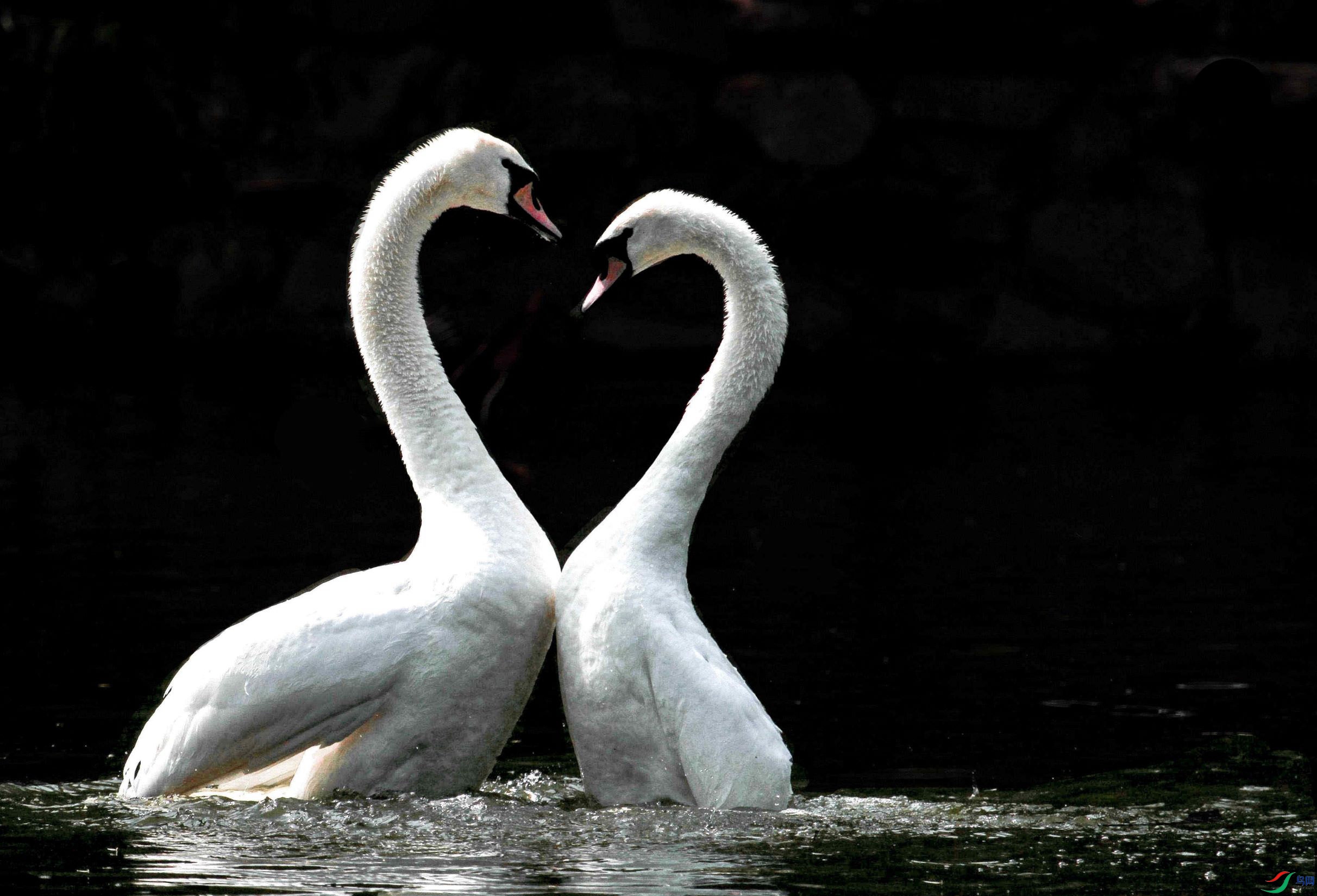 ���-1 (�ޣ�.jpg