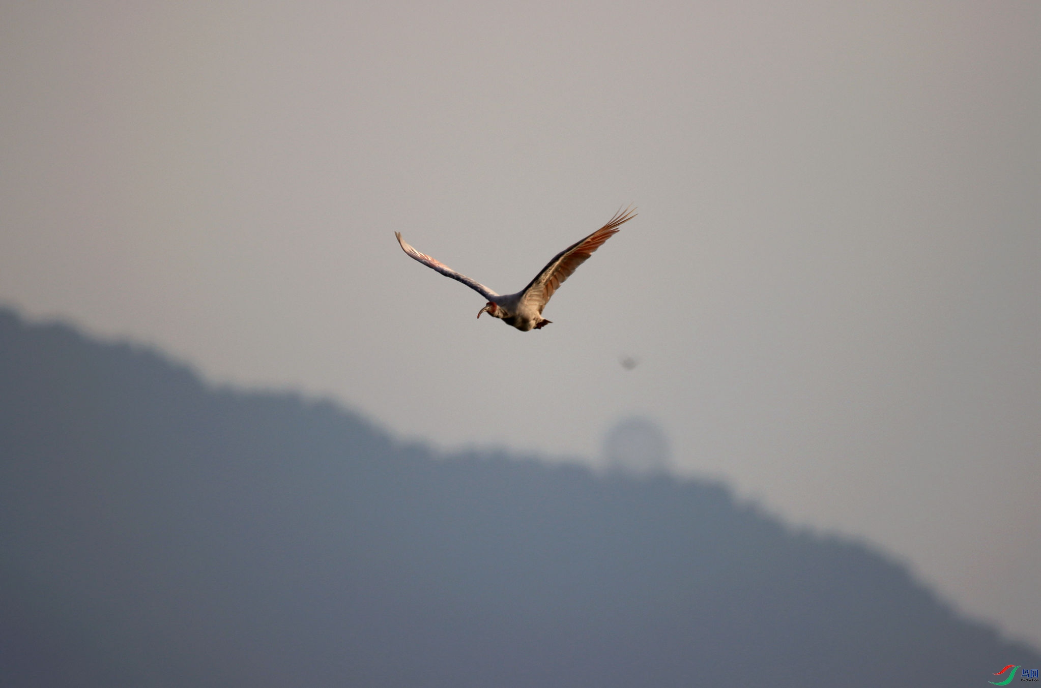 IMG_4990.JPG