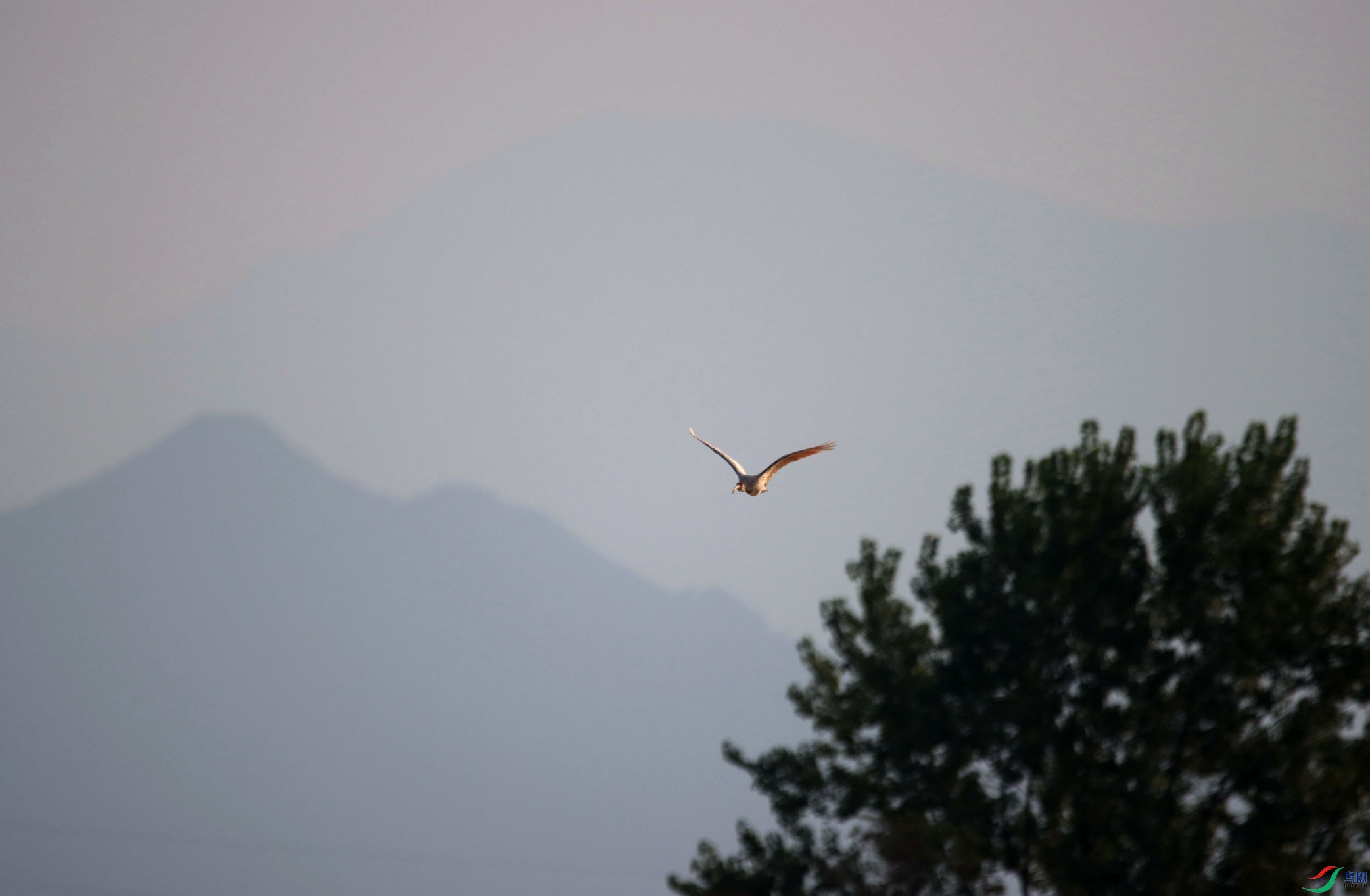 IMG_4979.JPG