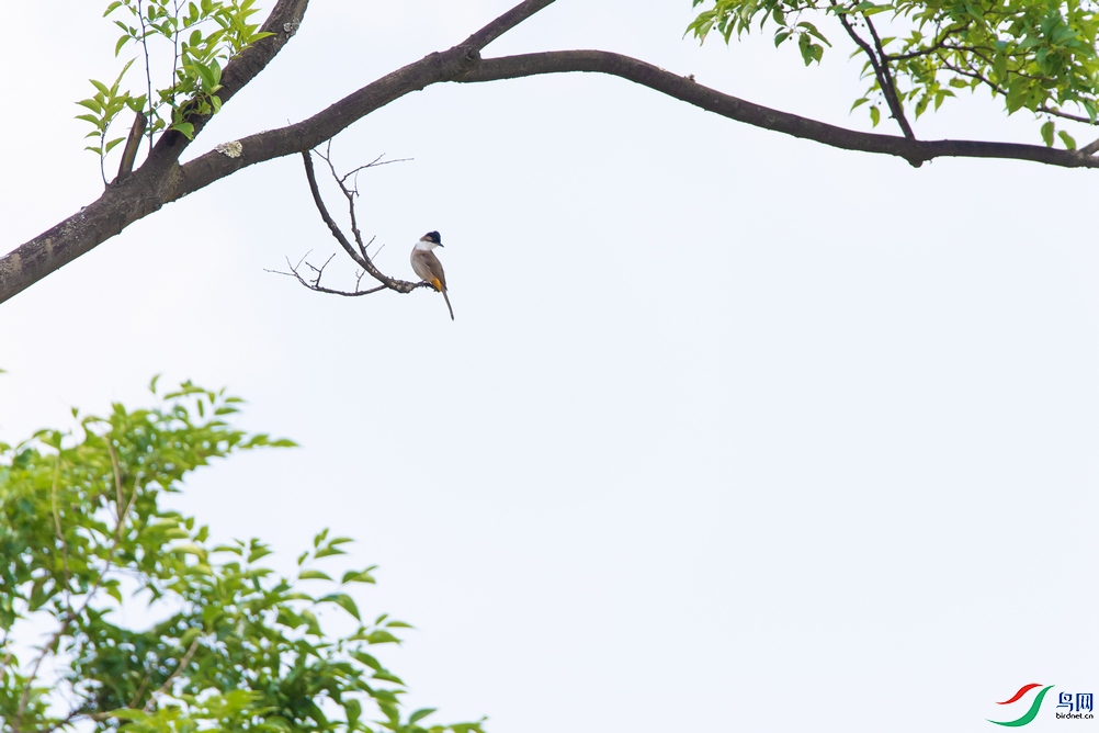 DSC_3168a.jpg