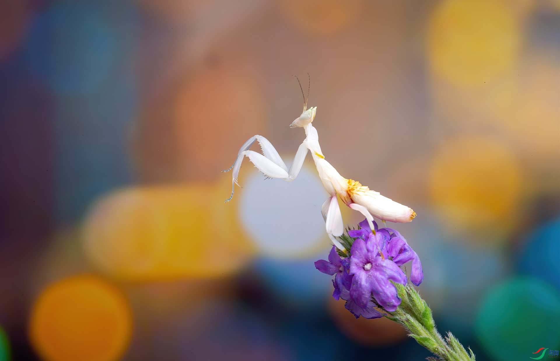 5D3_7248 ����.jpg