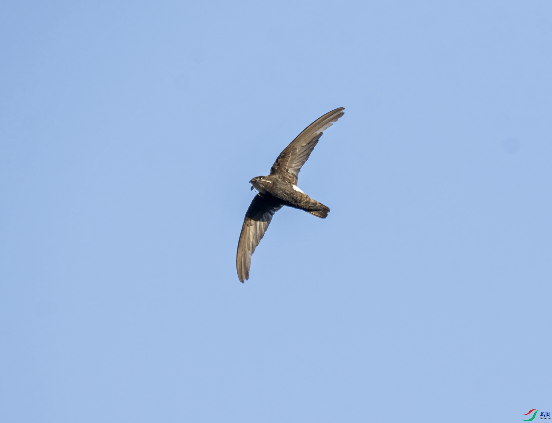 DSC_9035.jpg