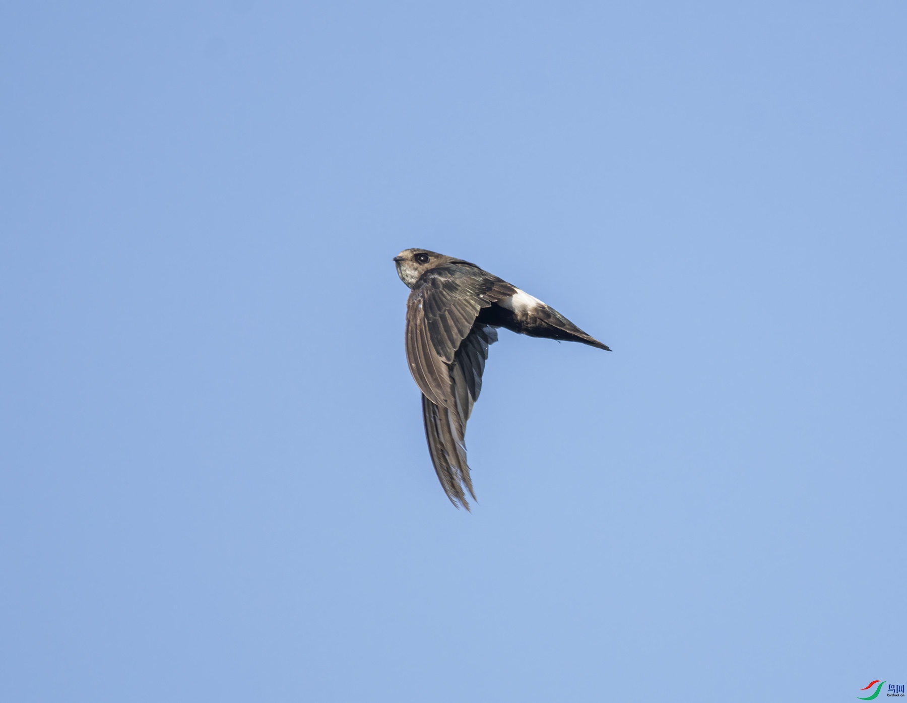 DSC_9145.jpg