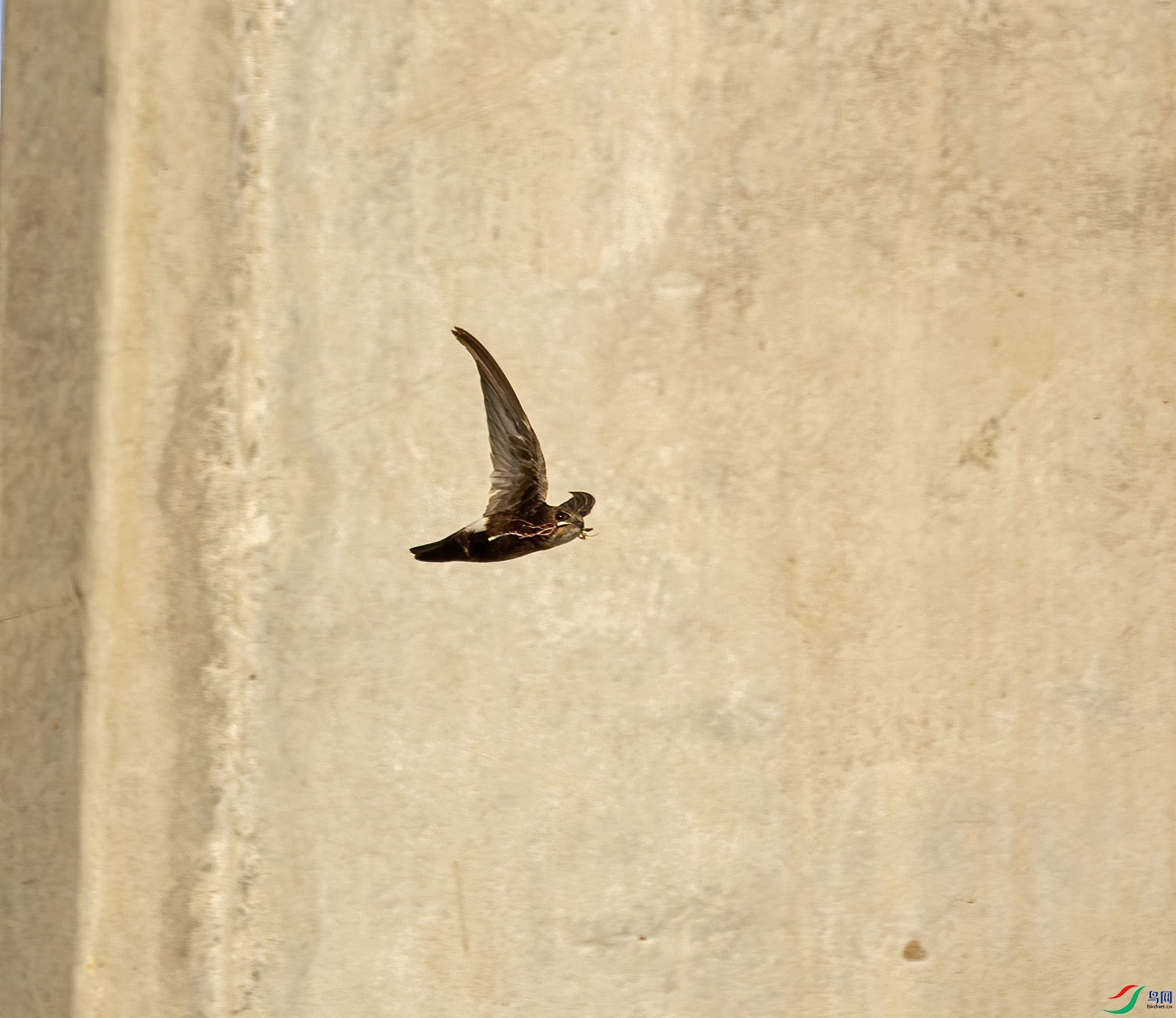 DSC_8982.jpg
