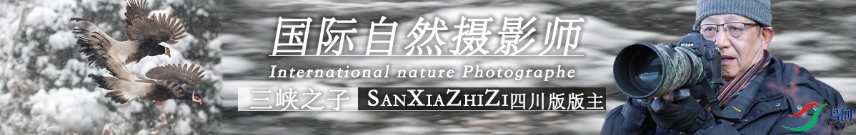 ΢��ͼƬ_20210728102742.jpg