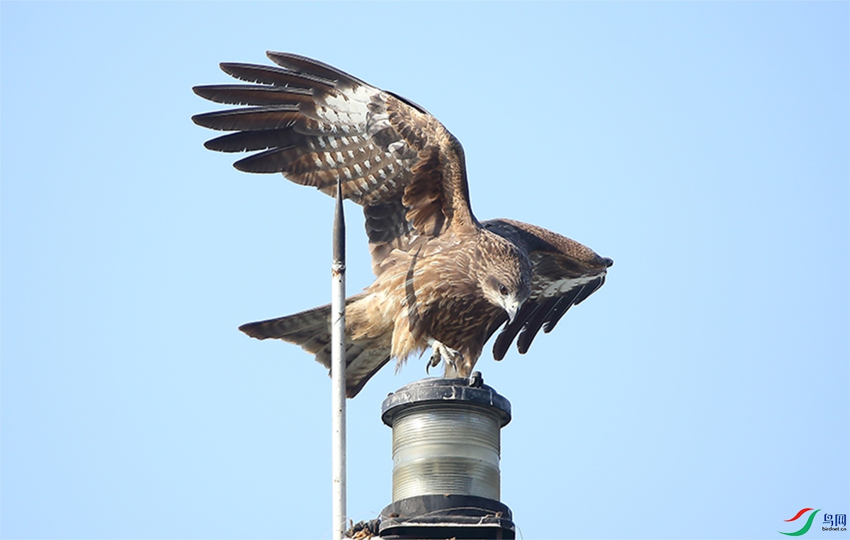 �о�����