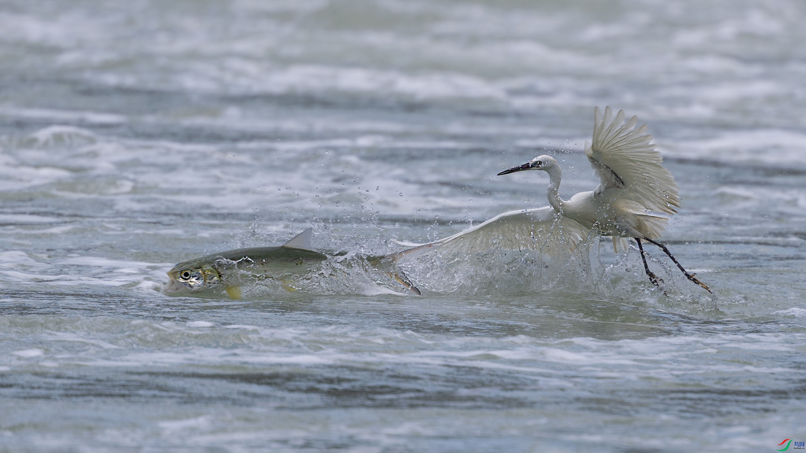 DSC_2913ADD.jpg