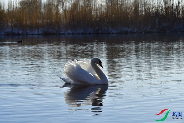 File0000079324.jpg