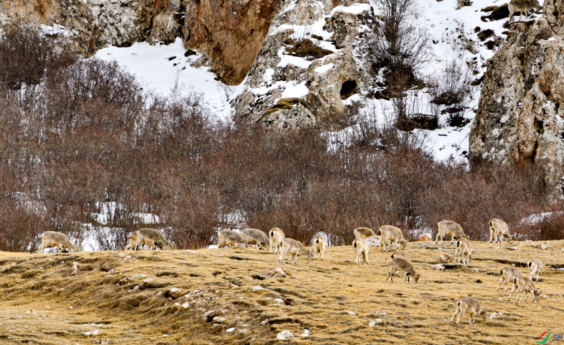 _DSC4455_����.jpg