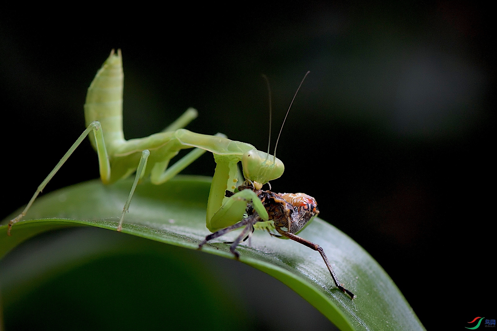 DSC_5069_00005.jpg