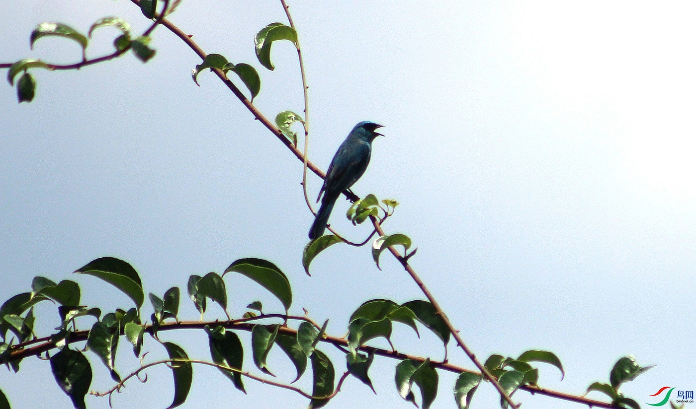 IMG_0004.jpg