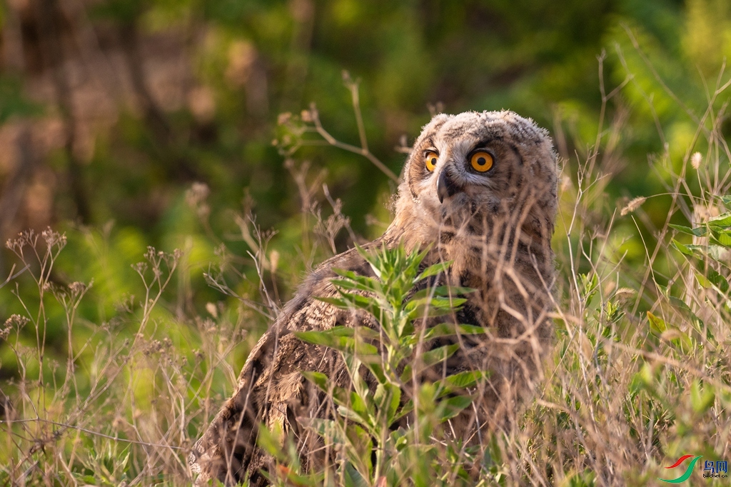 3S5A2597  ���^_����.jpg