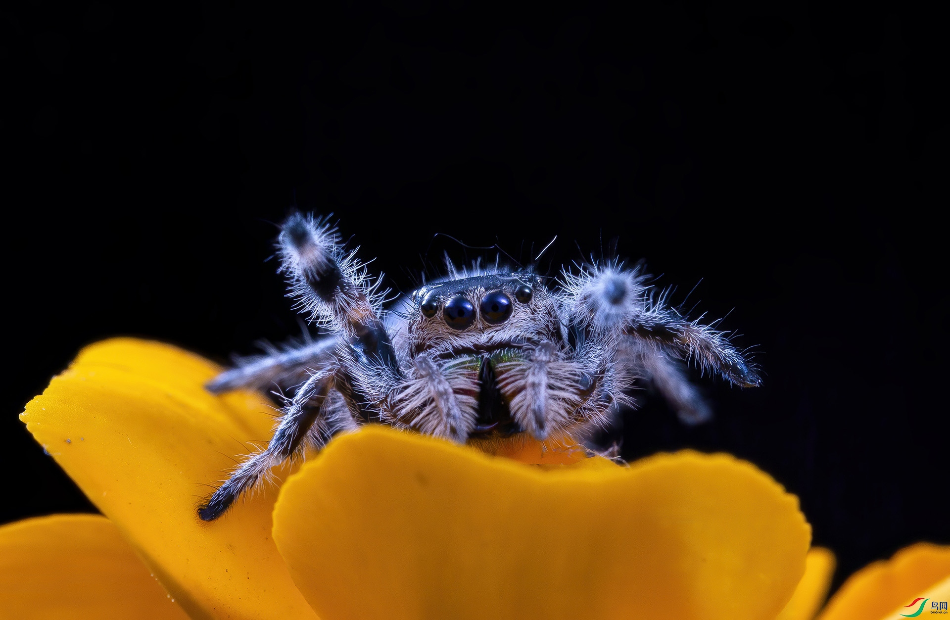 5D3_9769 ����.jpg