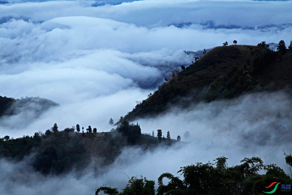 云南高黎贡山的云海