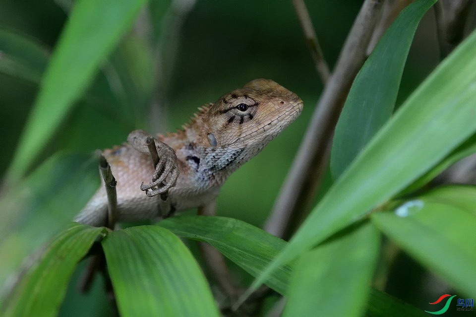 DSC_3540.JPG