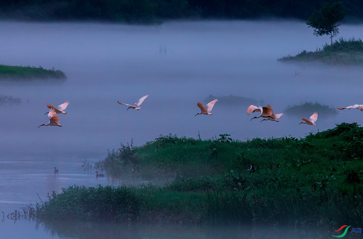 �����ɾ�