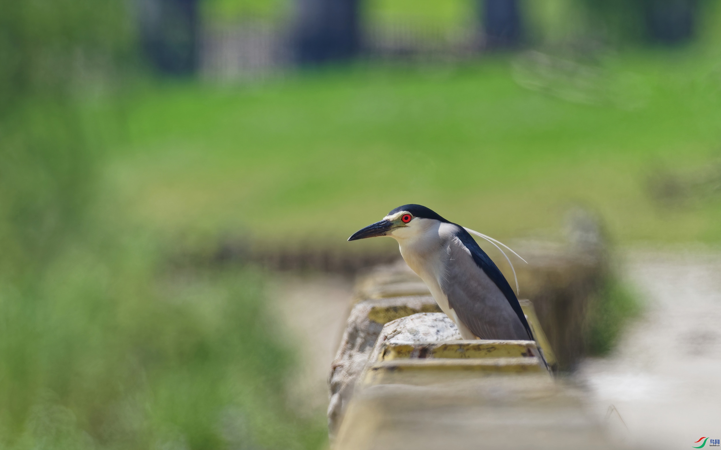 P7250651_DxO-d2.jpg