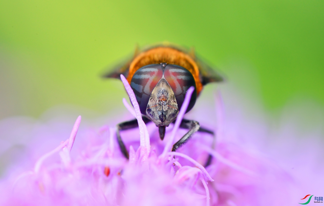 DSC_8271.JPG