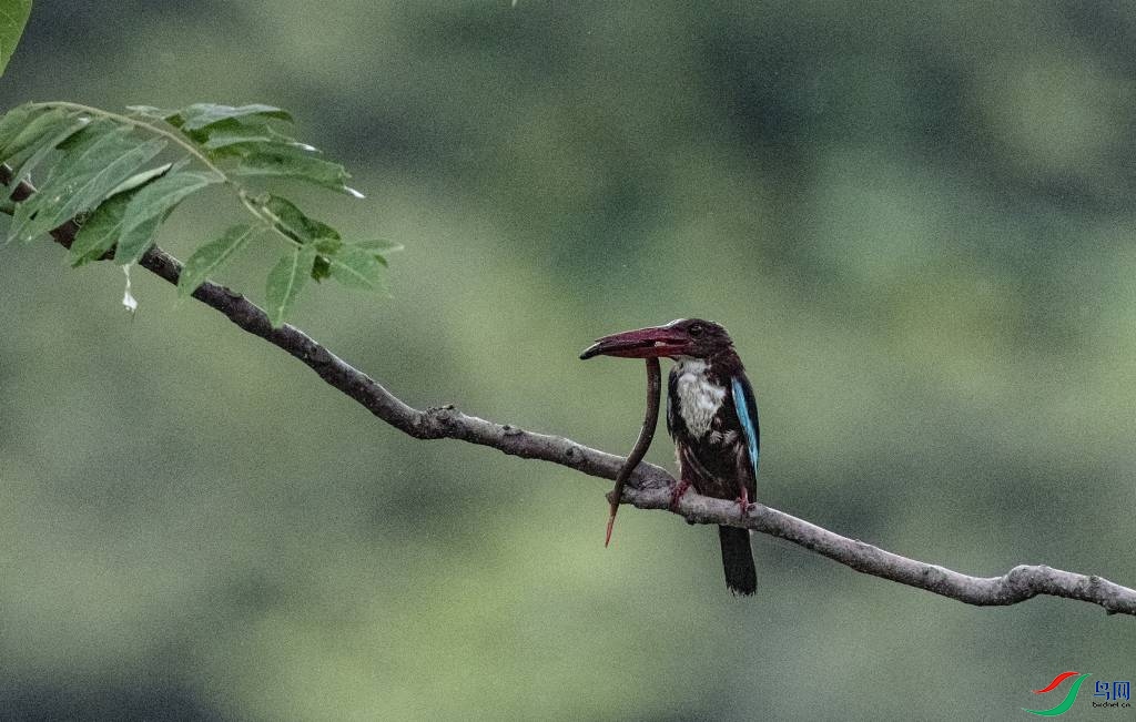 ������� (21).jpg