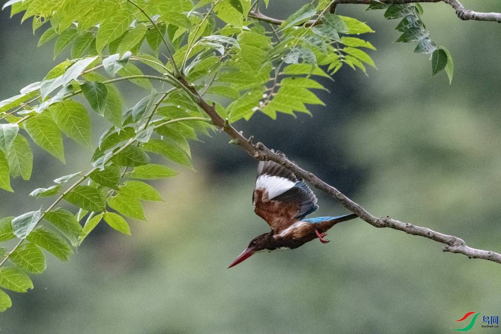 ������� (28).jpg