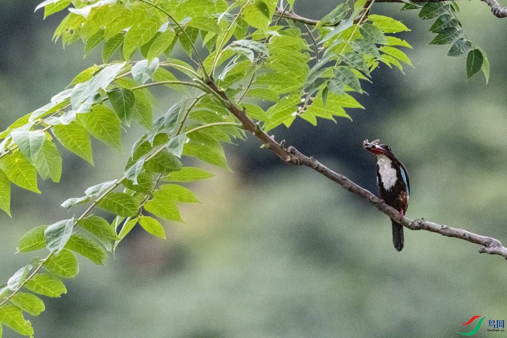 ������� (24).jpg