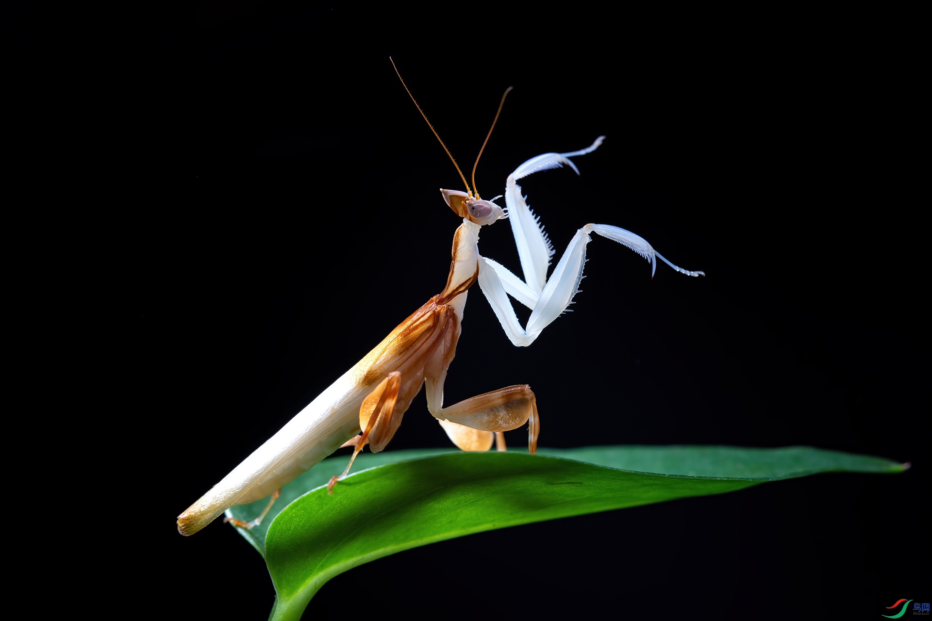 5D3_9983 ����.jpg