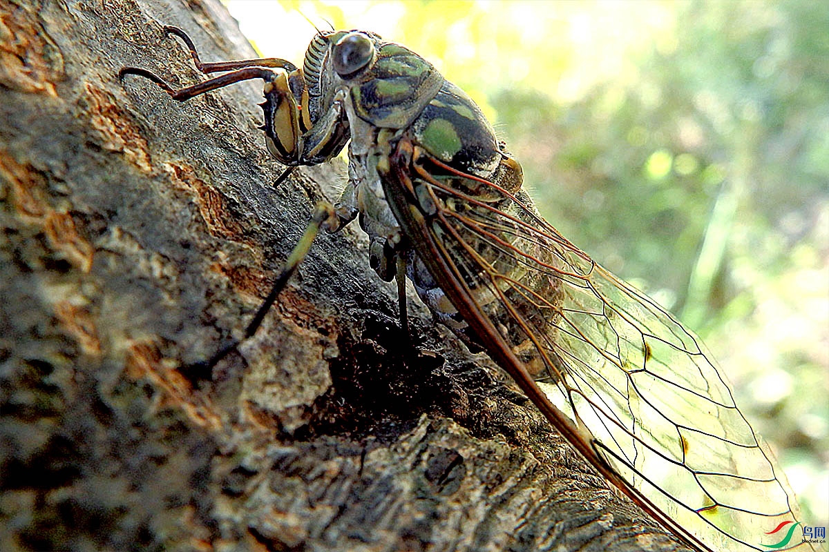 IMG_1966.jpg