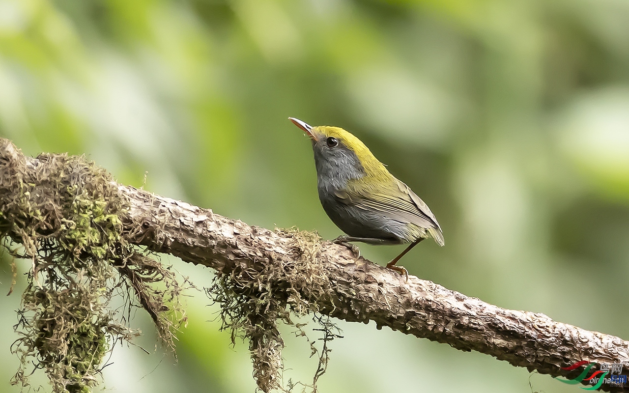 ���@  ��ʦ����������ʡ��ɽ��.jpg