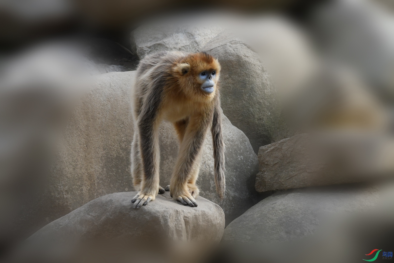 DSC_2648.jpg��˿�﷢.jpg