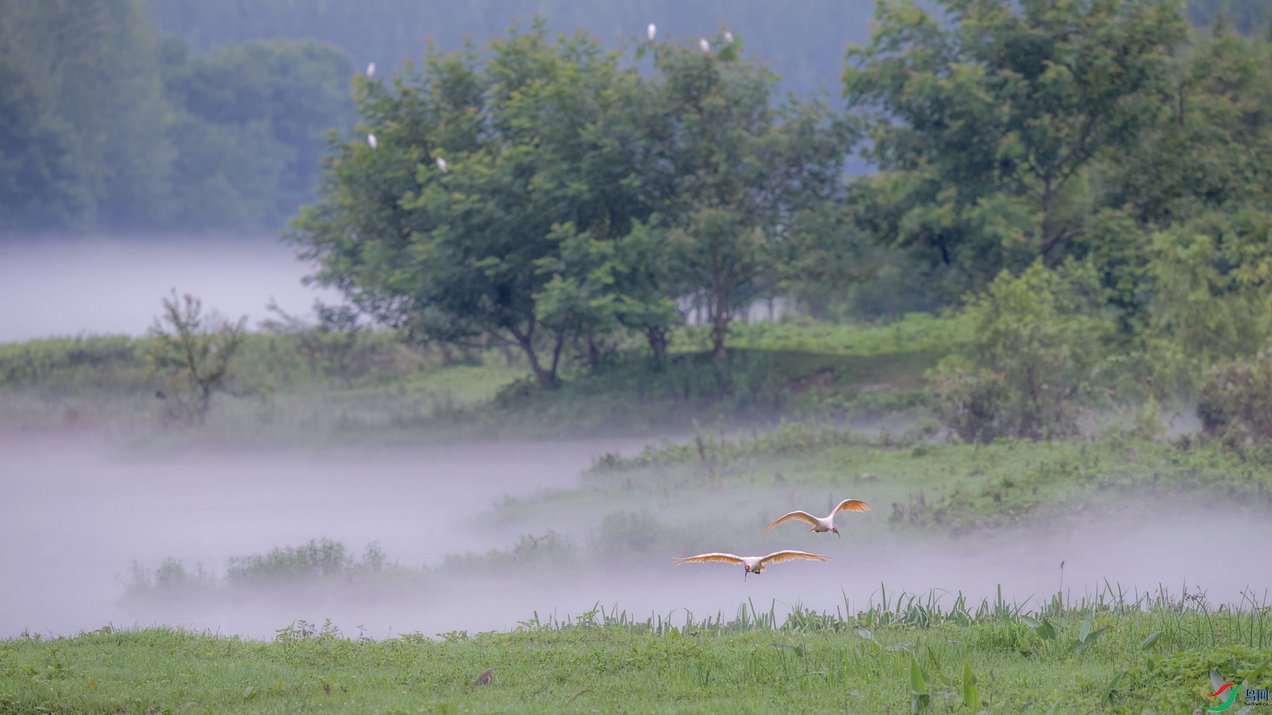_DSC4603AF01.jpg