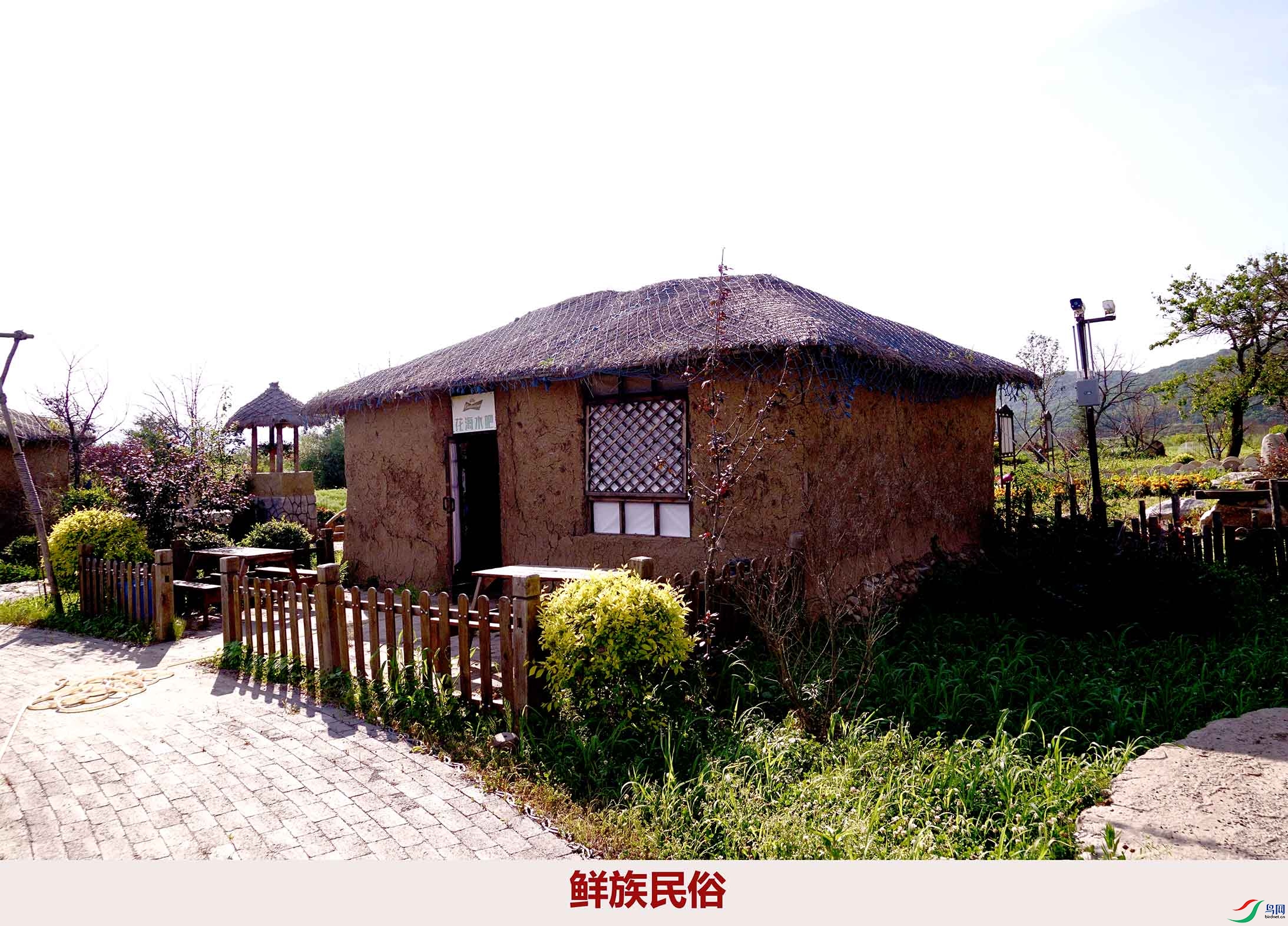 DSC09805.JPG