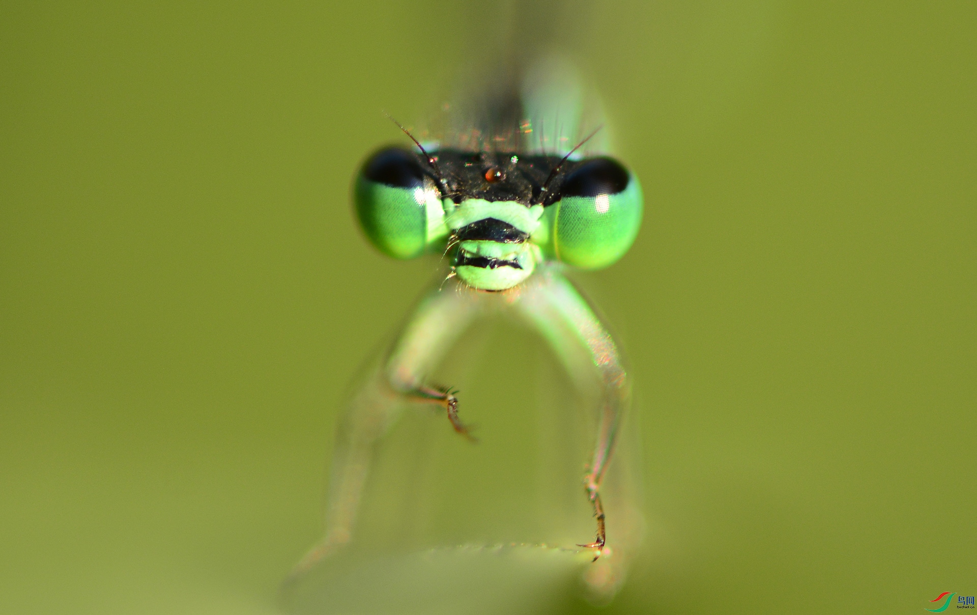 ������Ӱ 204����.jpg