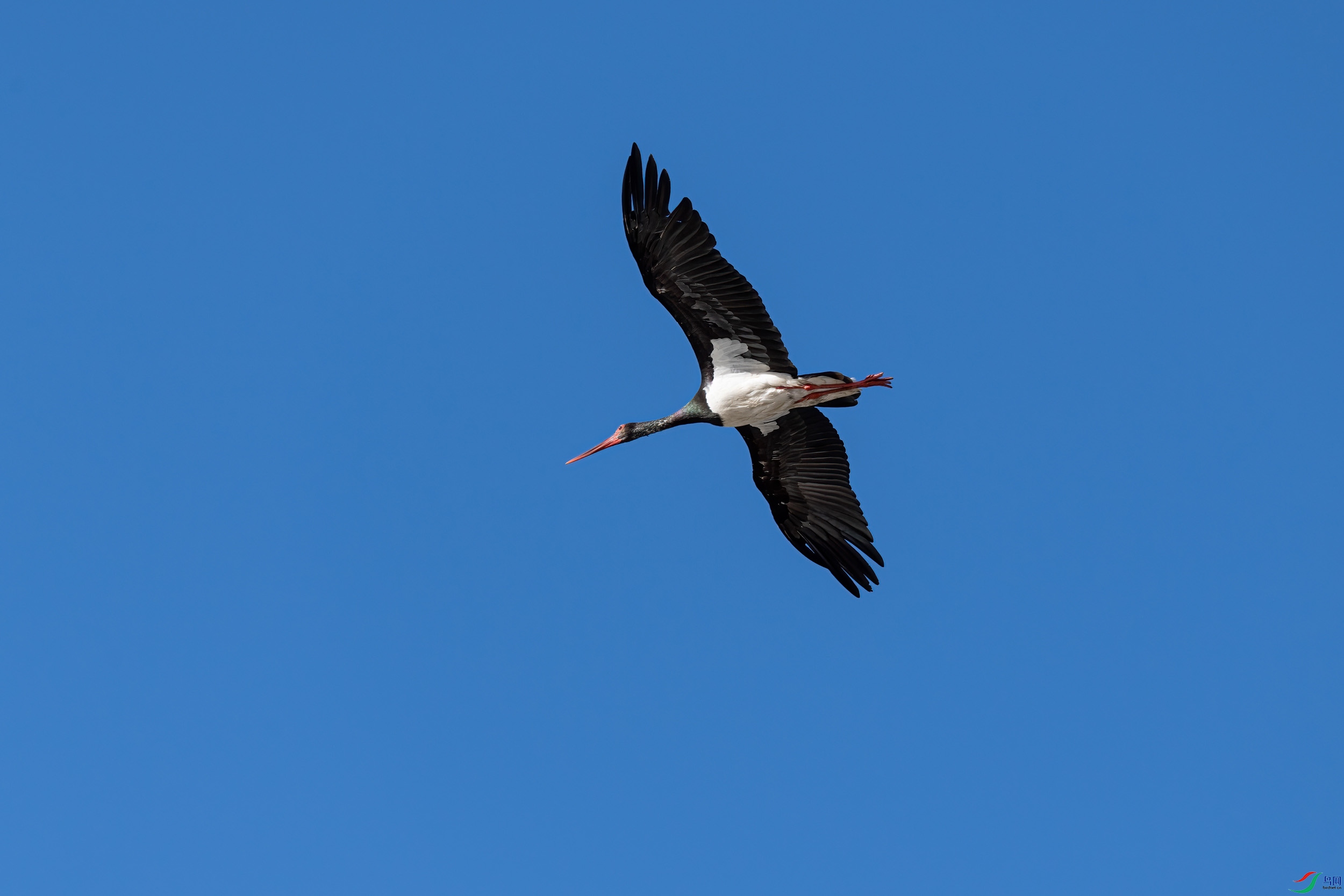 DSC_0284.jpg