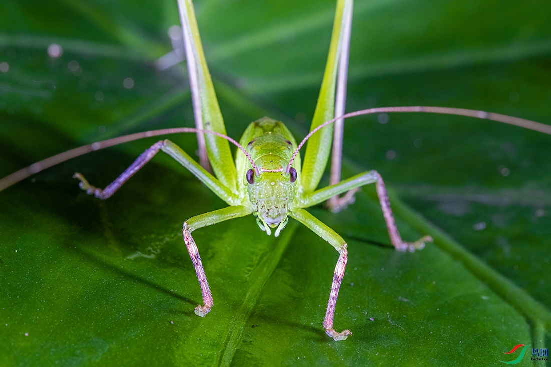 923P1A2296.jpg