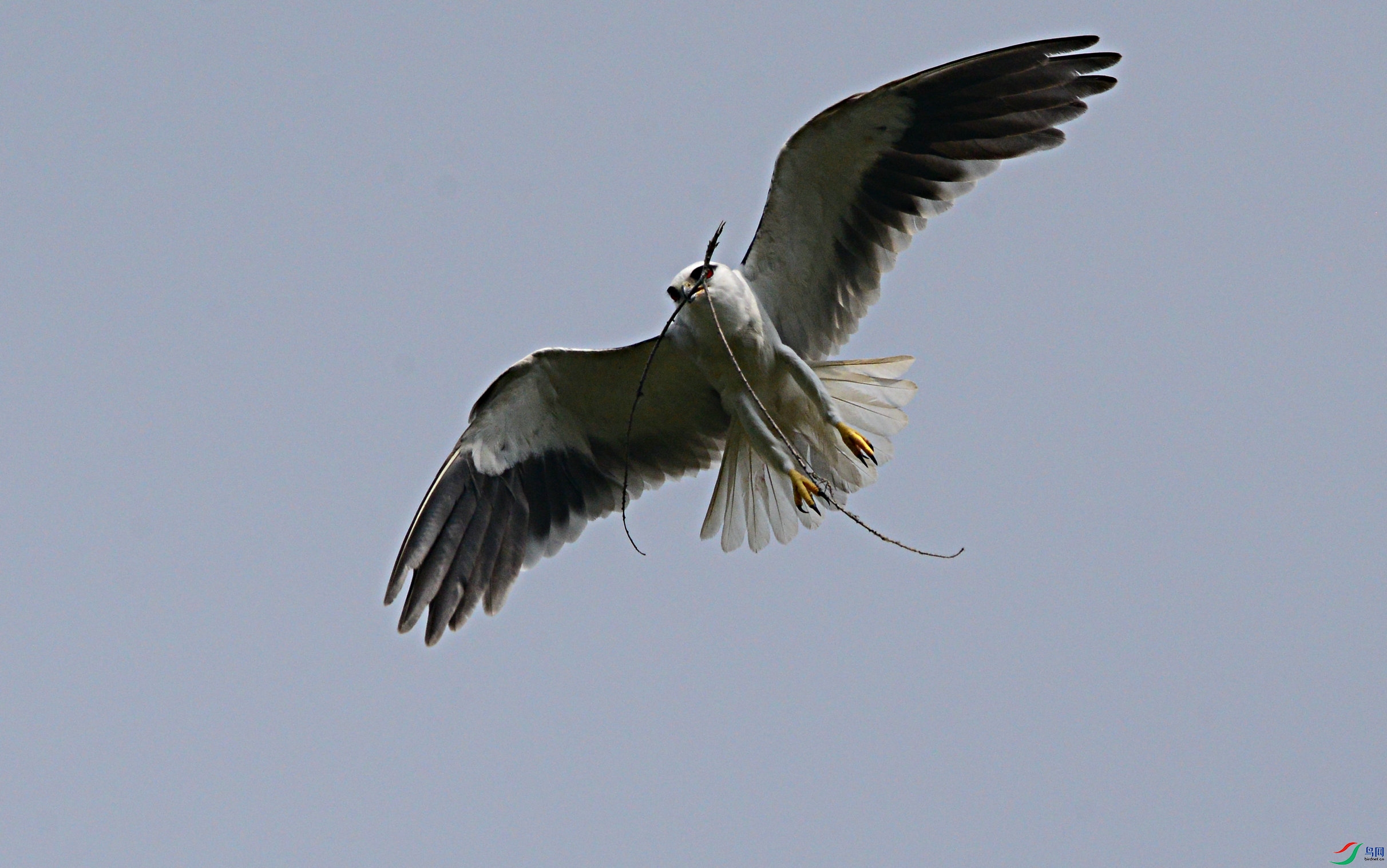 DSC_0260.jpg